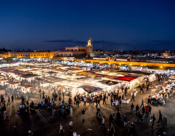 Discover Marrakech: Half-Day Guided City Tour