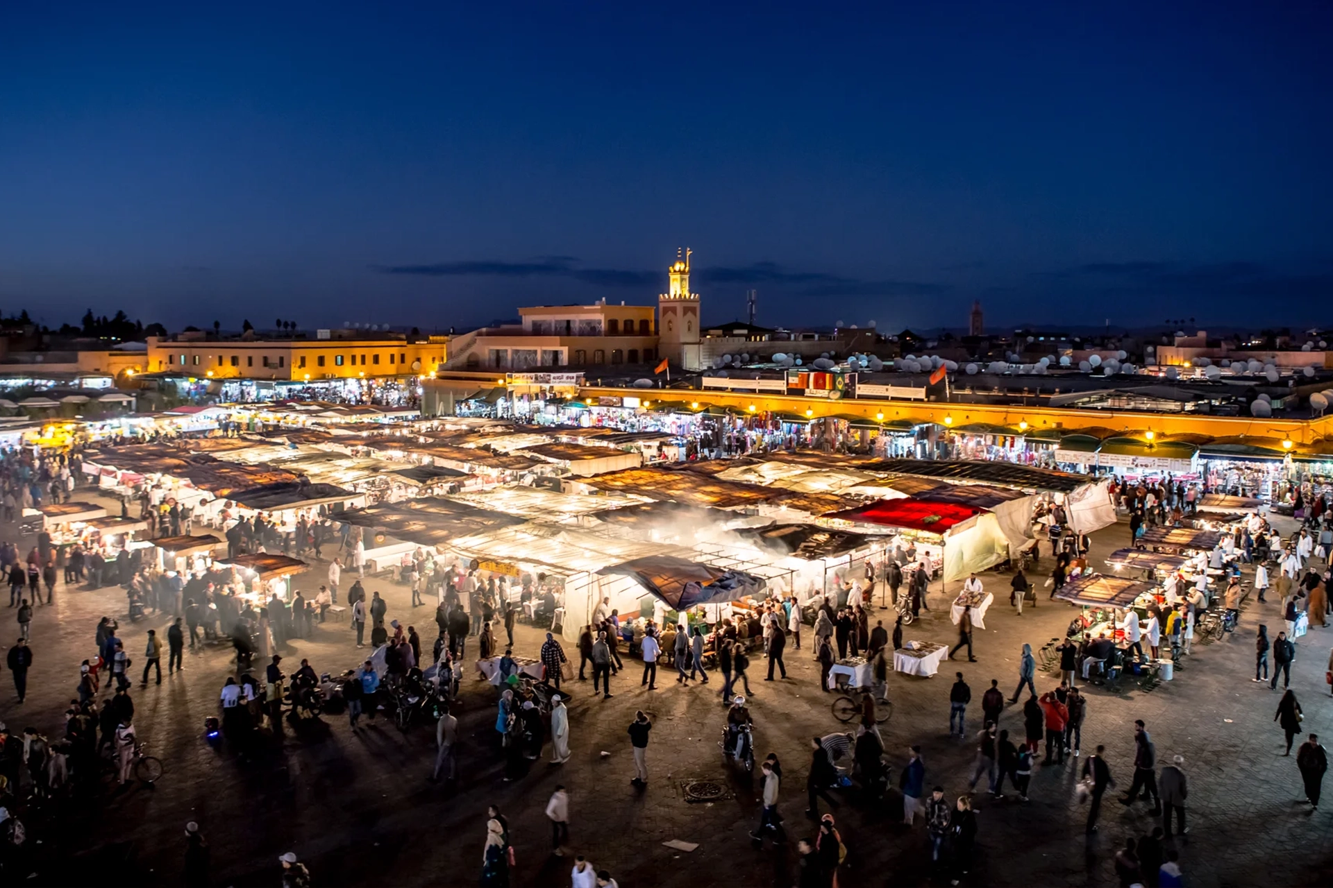 Discover Marrakech: Half-Day Guided City Tour