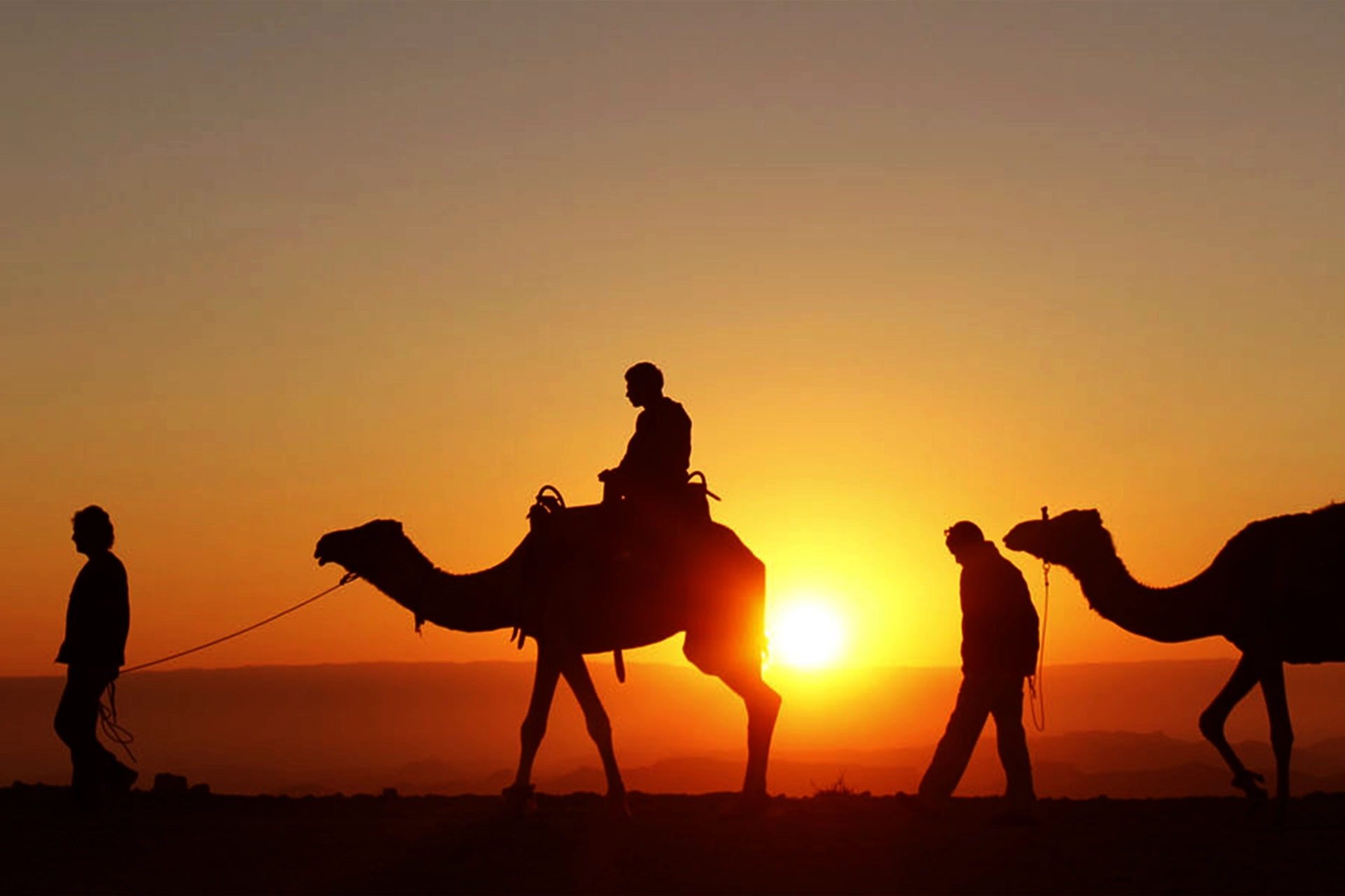 Enchanting Sunset Camel Ride in the Palm Grove of Marrakech