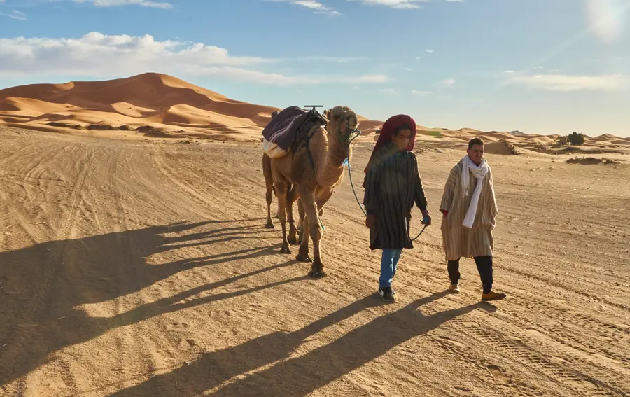 agafay desert camels