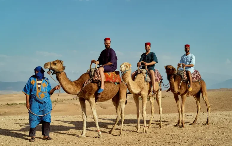 camel ride in palmerie marrakech morocco