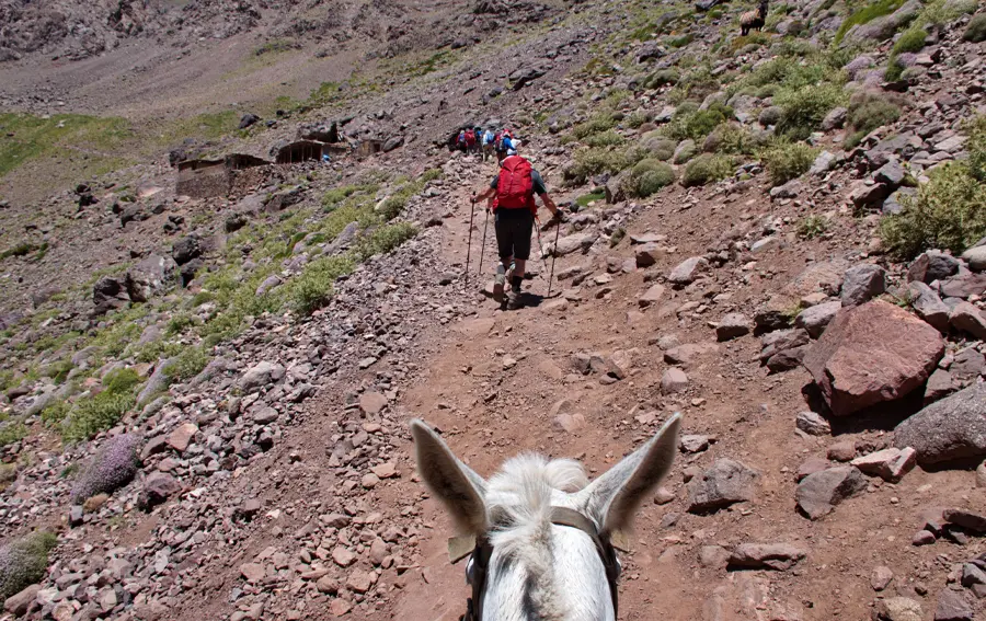 Trekking in toubkal high atlas